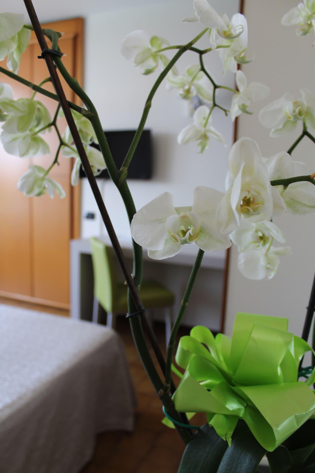 Hotel Residence Holiday Sirmione Ngoại thất bức ảnh